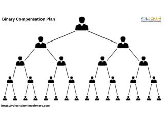 expand-company-with-binary-compensation-plan-mlm-software-small-0