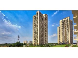 buy-luxury-homes-at-conscient-elevate-my-property-fact-small-0
