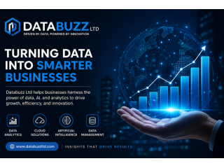 ai-powered-business-solutions-databuzz-ltd-small-0