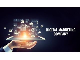 hire-a-professional-digital-marketing-company-in-faridabad-today-small-0