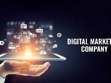 hire-a-professional-digital-marketing-company-in-faridabad-today