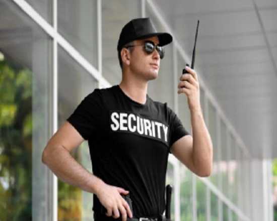 buy-walkie-talkie-in-delhi-latest-two-way-radio-deals