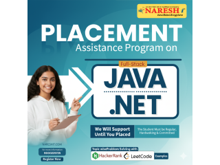 build-a-career-in-ai-powered-full-stack-java-net-small-0