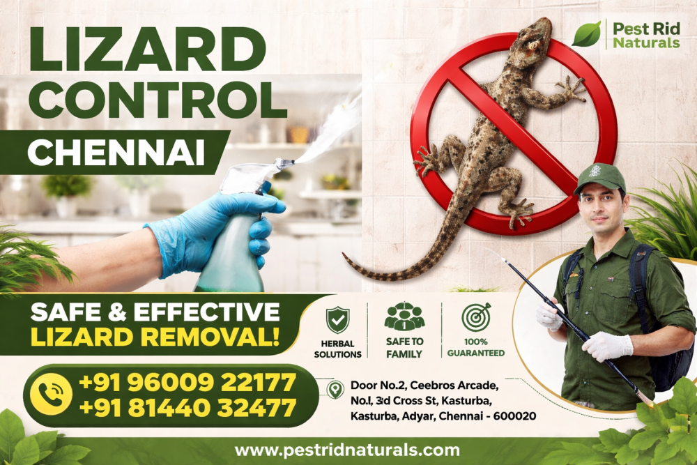 lizard-control-services-in-chennai-pest-rid-naturals-big-0