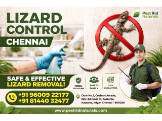 lizard-control-services-in-chennai-pest-rid-naturals-small-0