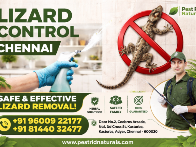 lizard-control-services-in-chennai-pest-rid-naturals