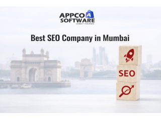 expert-seo-company-in-mumbai-appco-software-small-0