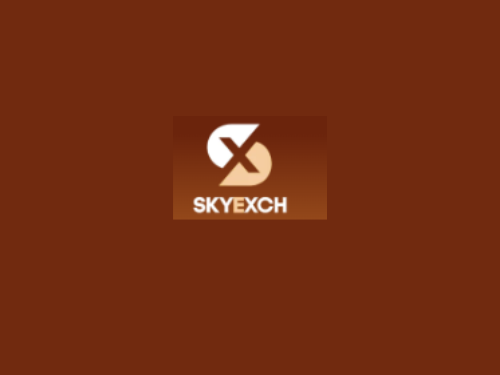 skyinplay-com-complete-platform-overview-and-guide