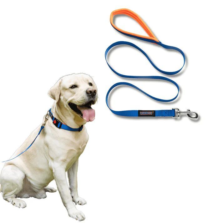 premium-dog-collars-and-leashes-by-waggety-for-daily-walks-big-0
