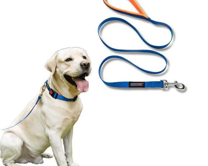 premium-dog-collars-and-leashes-by-waggety-for-daily-walks