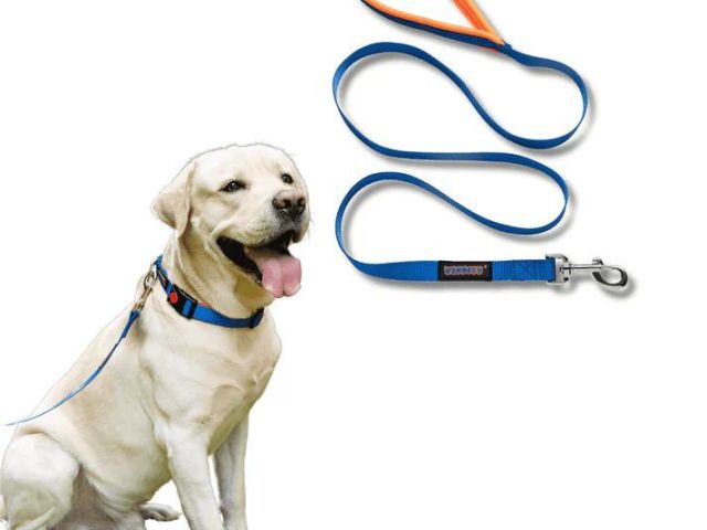 premium-dog-collars-and-leashes-by-waggety-for-daily-walks
