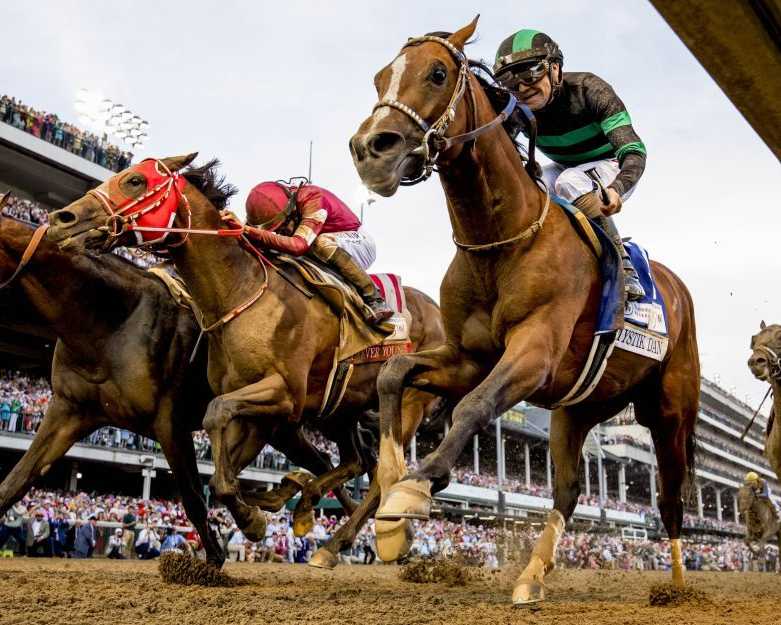 playinhorse-easy-way-to-follow-sports-online