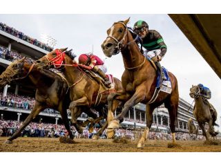 playinhorse-easy-way-to-follow-sports-online-small-0