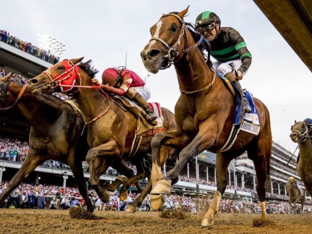 playinhorse-easy-way-to-follow-sports-online