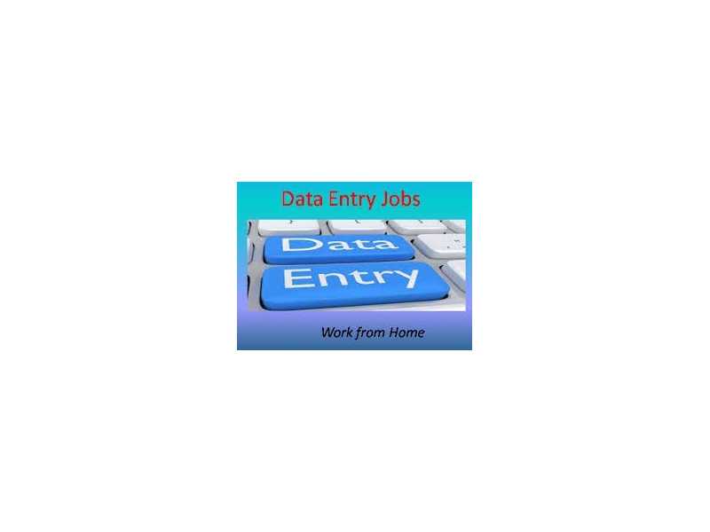 freelance-data-entry-work-7708244092-small-0