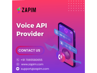 reliable-communication-with-a-trusted-voice-api-solution-small-0