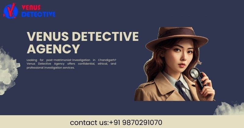 best-detective-agency-in-chandigarh-big-0