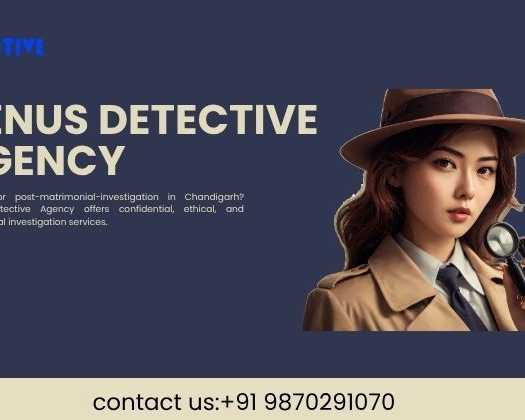 best-detective-agency-in-chandigarh