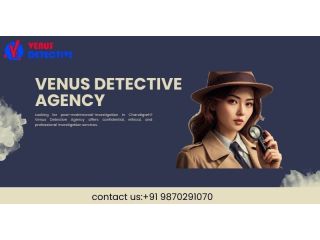 best-detective-agency-in-chandigarh-small-0