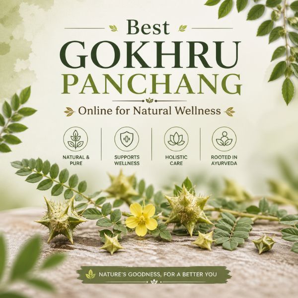 best-gokhru-panchang-juice-for-kidney-health-big-0
