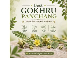 best-gokhru-panchang-juice-for-kidney-health-small-0
