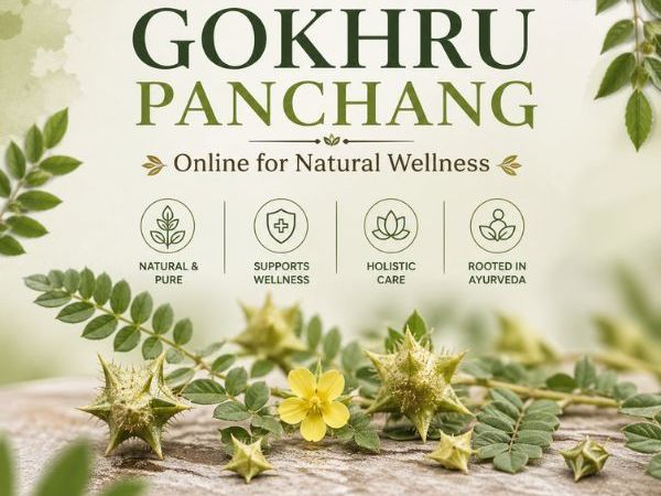 best-gokhru-panchang-juice-for-kidney-health