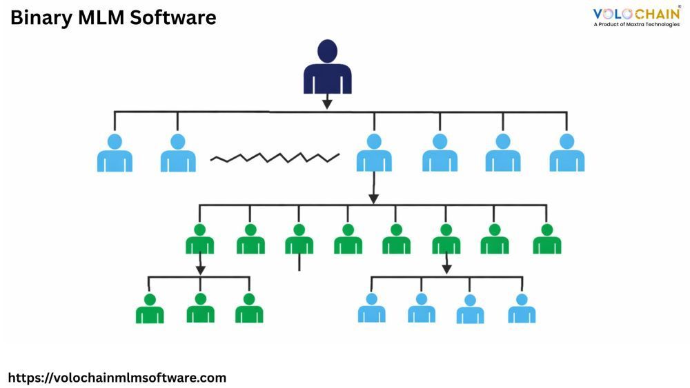 boost-business-growth-through-effective-binary-mlm-software-big-0