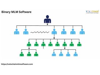 boost-business-growth-through-effective-binary-mlm-software-small-0