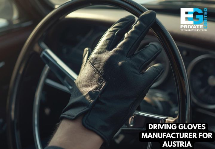 driving-gloves-manufacturer-for-austria-expo-gloves-big-0