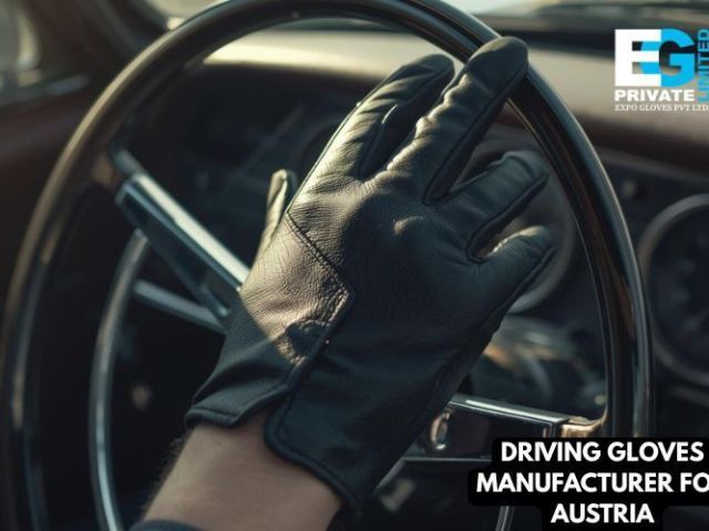 driving-gloves-manufacturer-for-austria-expo-gloves