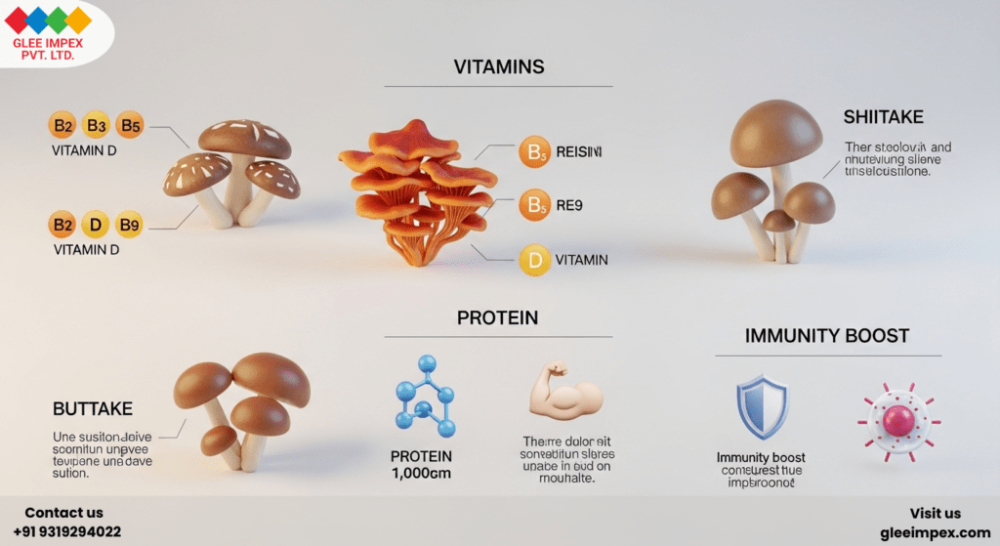 trusted-mushroom-exporter-in-india-glee-impex-big-0