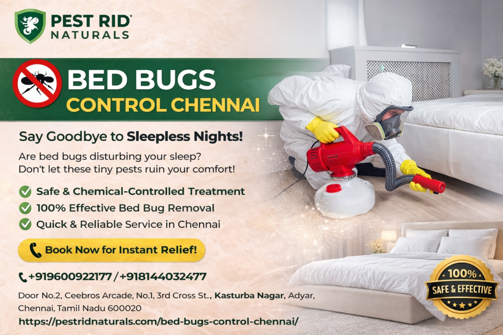 bed-bugs-with-pest-rid-naturals-trusted-partner-in-chennai-big-0