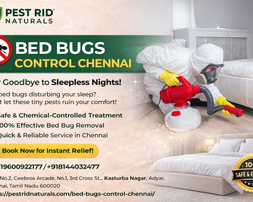 bed-bugs-with-pest-rid-naturals-trusted-partner-in-chennai