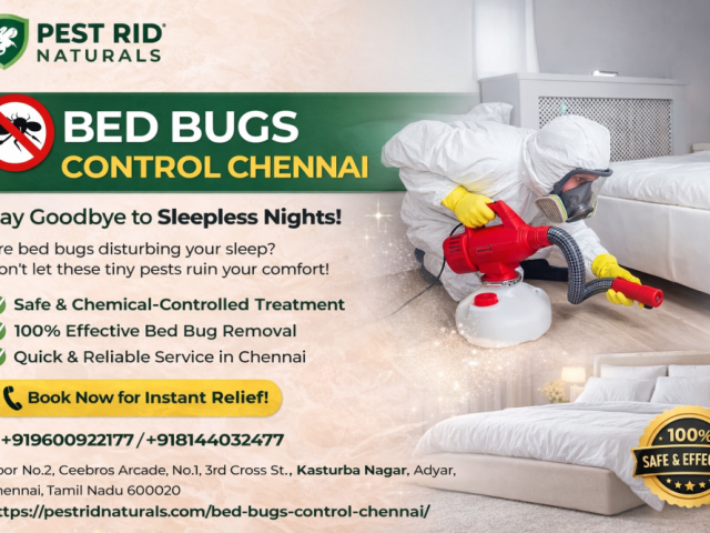bed-bugs-with-pest-rid-naturals-trusted-partner-in-chennai