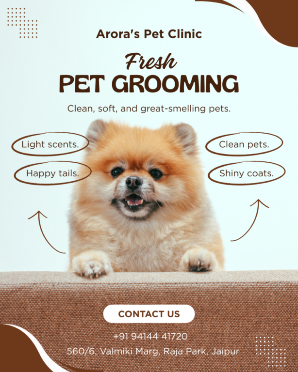 aroras-pet-clinic-best-pet-clinic-in-raja-park-jaipur-raj-big-0