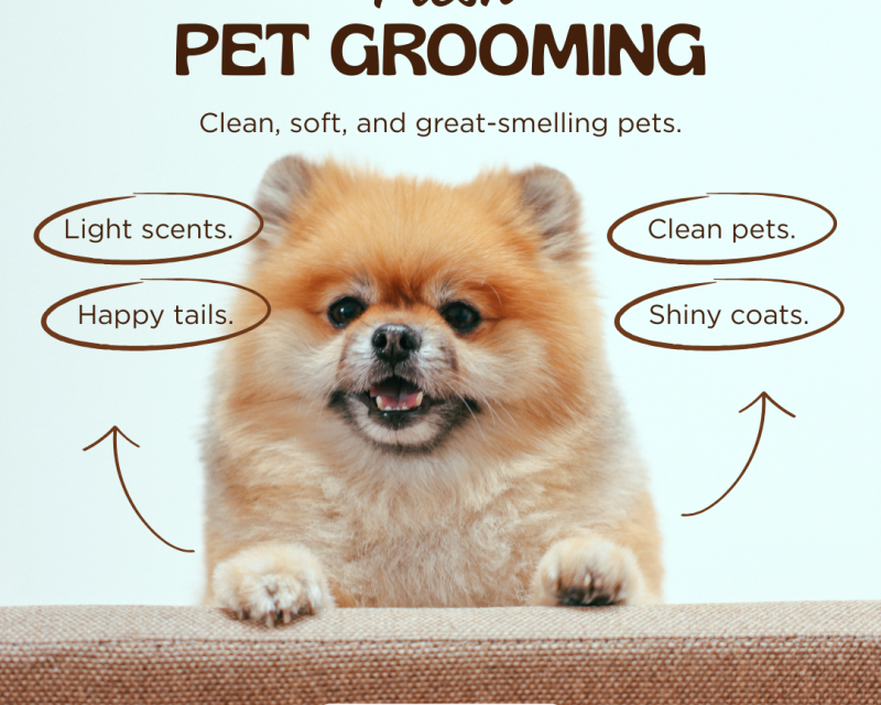 aroras-pet-clinic-best-pet-clinic-in-raja-park-jaipur-raj