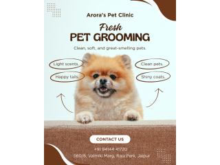 aroras-pet-clinic-best-pet-clinic-in-raja-park-jaipur-raj-small-0