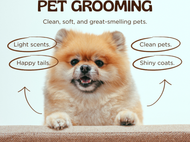 aroras-pet-clinic-best-pet-clinic-in-raja-park-jaipur-raj