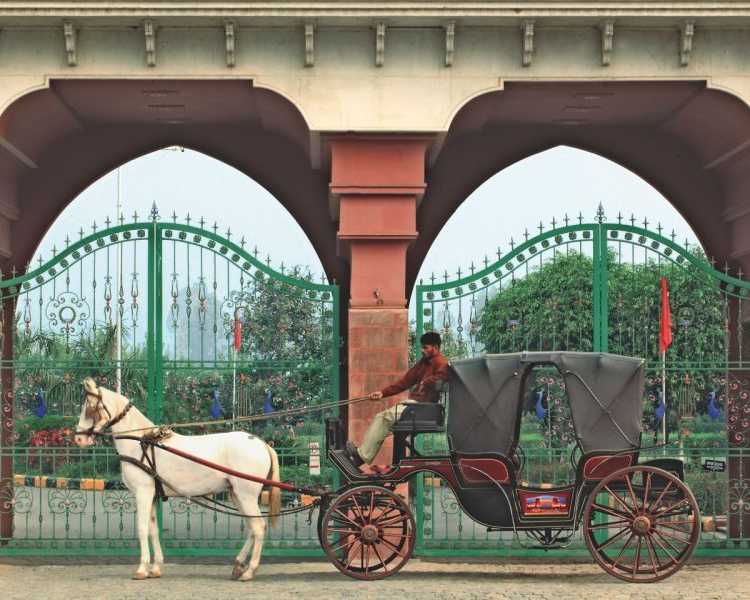 premium-gate-manufacturers-for-stylish-and-secure-entrances