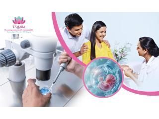 start-your-ivf-journey-with-the-best-ivf-hospital-in-bangalore