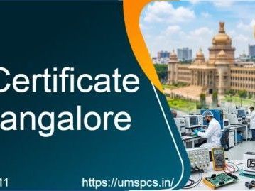 bis-consultant-bangalore