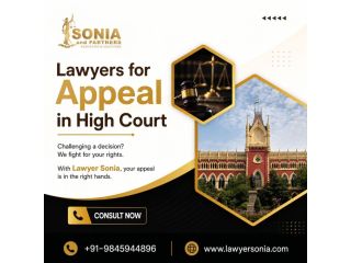 lawyers-for-appeal-in-high-court-lawyers-small-0
