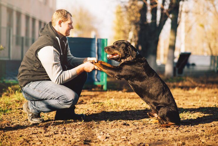 dog-trainer-in-mysore-big-0