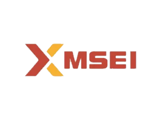 metropolitan-stock-exchange-msei-unlisted-share-price-small-0