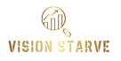 web-designing-agency-laxmi-nagar-vision-starve-big-0