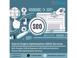 greater-online-exposure-with-proven-seo-optimization-services-small-0