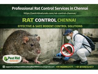 best-rat-control-chennai-pest-rid-naturals-small-0