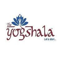 the-yogshala-clinic-big-0