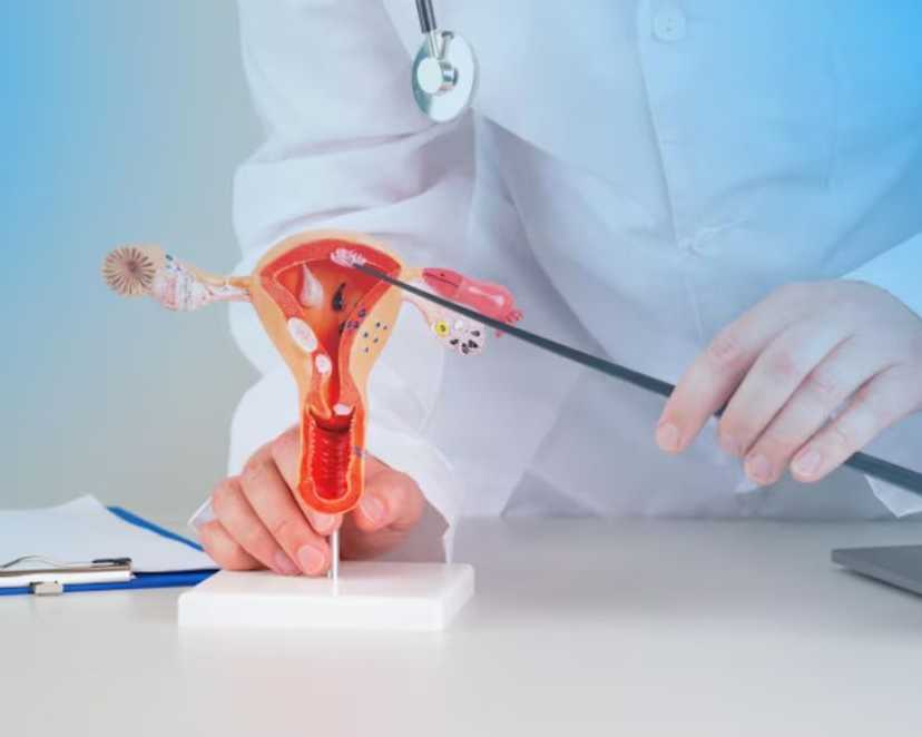 best-hysteroscopy-treatment-in-bhagalpur-for-womens-care