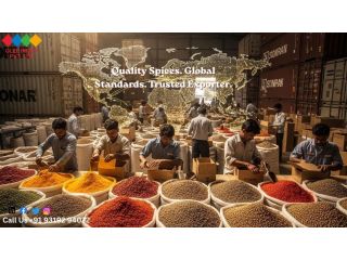 trusted-spices-exporter-in-india-for-quality-supply-small-0
